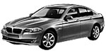 BMW F10 P0655 Fault Code